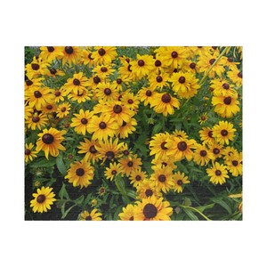 Rompecabezas de flores soleadas para adultos, diseño floral desafiante, actividad de atención plena, juego de relajación, regalo de pasatiempo