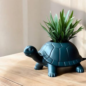 Könnte beinhalten: Ein dunkelgrüner Keramik-Schildkröten-Pflanztopf mit einer kleinen grünen Pflanze darin. Der Schildkröten-Pflanztopf hat eine detaillierte Schale und steht auf einer Holzoberfläche.