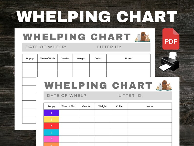 A4 Whelping Chart PDF Track Your Puppies' Birth Details - Etsy Australia