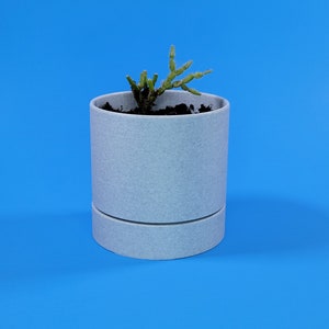 May include: A small, light gray planter with a green succulent plant growing inside. The planter has a textured surface and a slightly raised base.