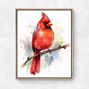 Watercolor Painting - Cardinal Bird - Decorative Poster - Illustration Reproduction - Poster - Art Print