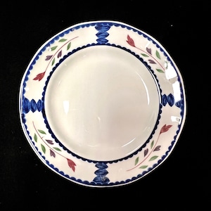 Adams Lancaster beautiful handpainted vintage bread and butter plate