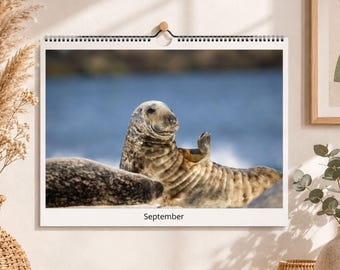 Wildlife Nature Calendar 2027 | Timeless Animal Wall Calendar | Seals, Owl, Robin, Galloways & Gannets | Gift for Nature Lovers