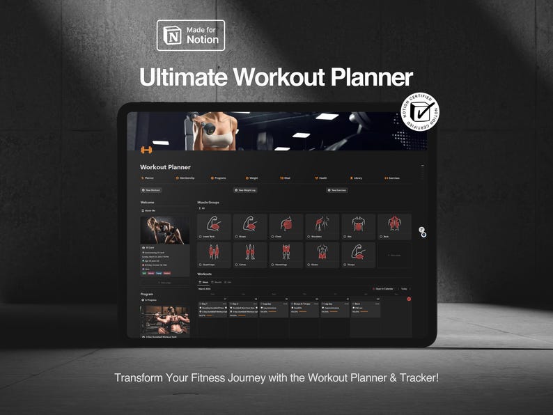 Planejador de Treinos Notion: Rastreador de Fitness, Registro de Exercícios e Painel de Saúde imagem 11