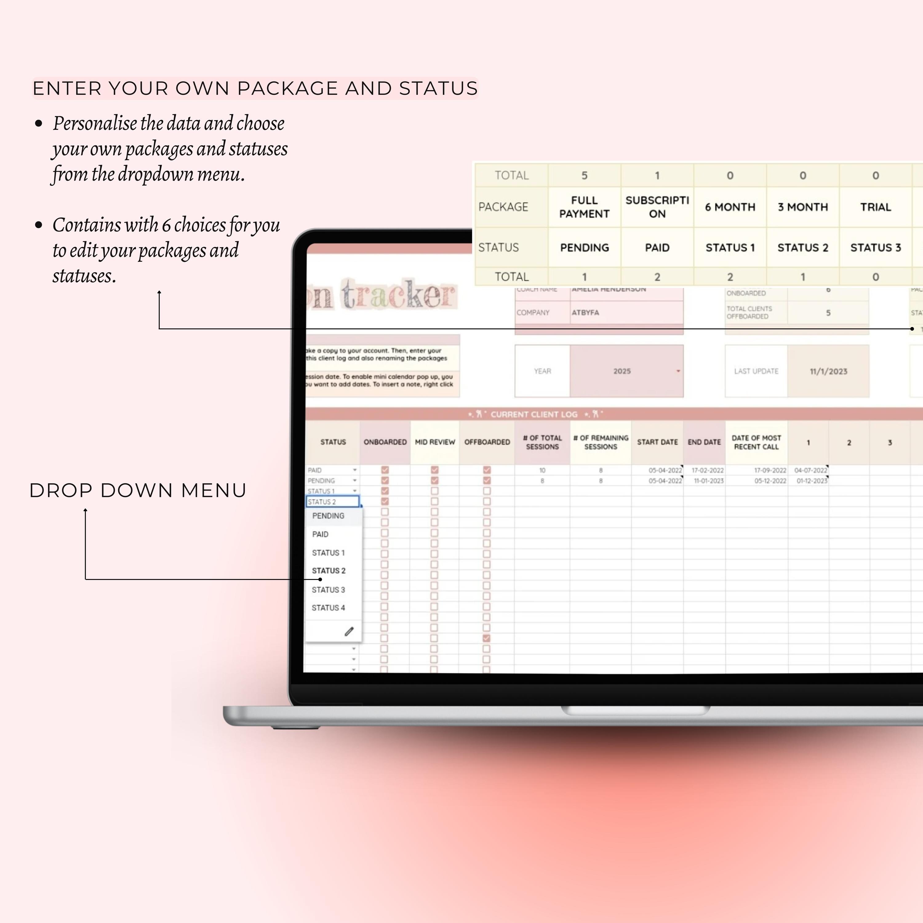 Client Session Tracker Spreadsheet for Coaches, CRM, Client Management ...