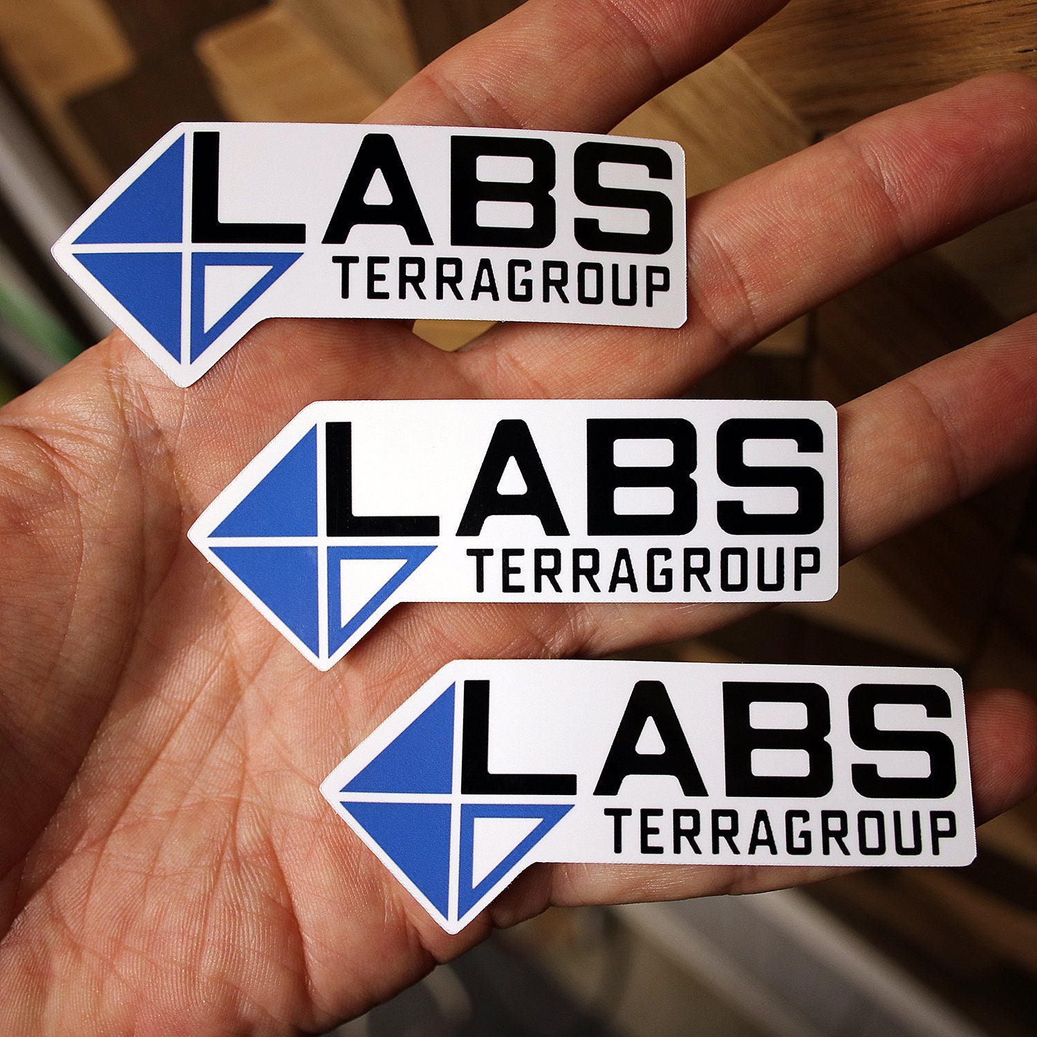 Labs Terragroup Sticker (set of 3) - 3.25