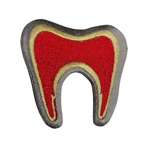 Human Tooth Iron On Embroidered Patch Sew on Applique Clothing Jacket Jeans Bag