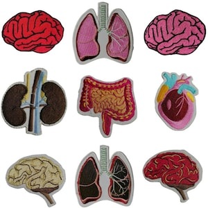 Può includere: Nove toppe ricamate da stirare che raffigurano diversi organi umani. Gli organi includono un cervello, i polmoni, i reni, l'intestino, il cuore e un secondo set di polmoni e cervello. Le toppe sono di diversi colori, tra cui rosso, rosa, marrone e beige.