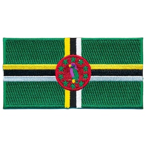 Puede incluir: Una bandera verde, negra, amarilla y blanca con un círculo rojo que contiene un loro y diez estrellas. La bandera es un parche con una superficie texturizada.