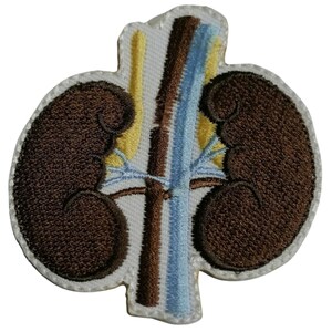 Könnte beinhalten: Gestickter Aufnäher mit zwei braunen Nieren, gelben und blauen Adern und einem braunen und blauen Schlauch, der sie verbindet.