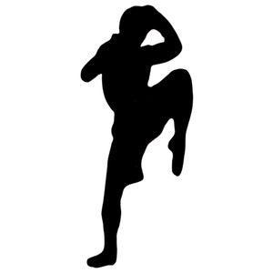 May include: Silhouette of a person in a fighting pose, with one leg raised and the other bent, arms raised in a defensive position.