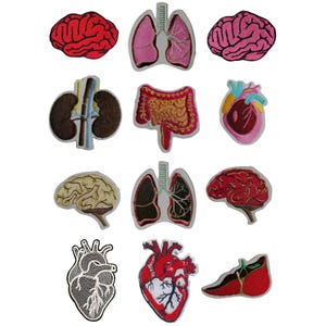 May include: A collection of embroidered patches featuring various human organs, including brains, lungs, hearts, kidneys, and intestines. The patches are in shades of red, pink, brown, and beige, with detailed stitching.