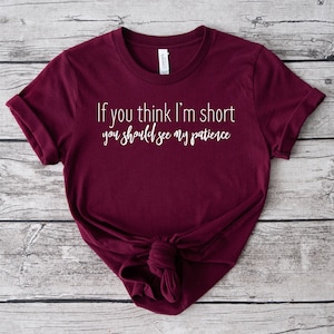 If You Think Im Short You Should See My Patience tshirt, Short and Spicy Tee, Gift for Fun Sized Friend, Gift for Impatient Friend Road Rage