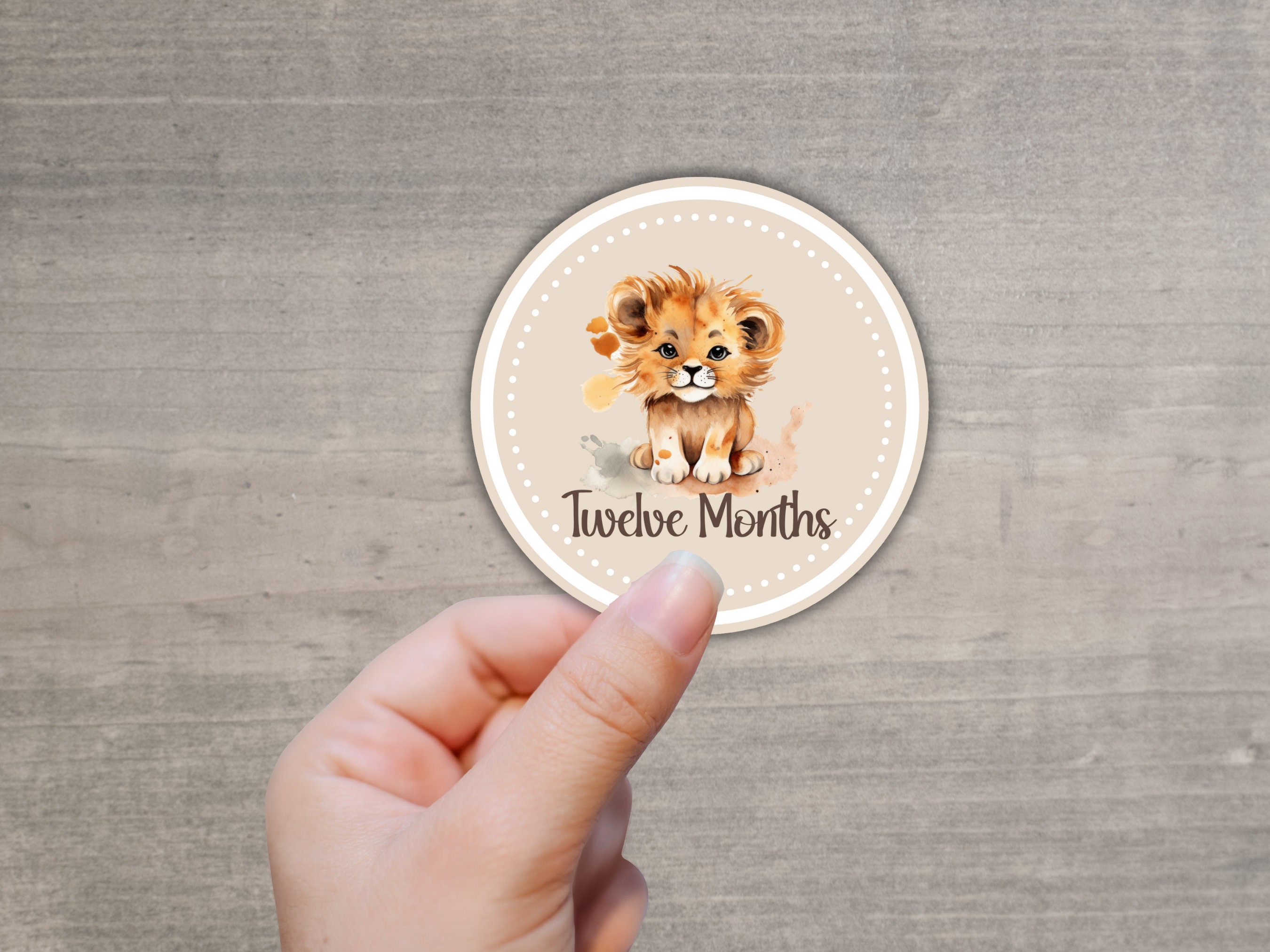 Baby Monthly Milestone PNG, Monthly Milestone Baby Stickers, Watercolor ...