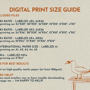 May include: A digital print size guide with orange text on a light background. It lists file ratios including 4x5, 2x3, 3x4, international paper sizes, and 11x14, with printing dimensions in inches. A line drawing of a seagull on a stool is included.