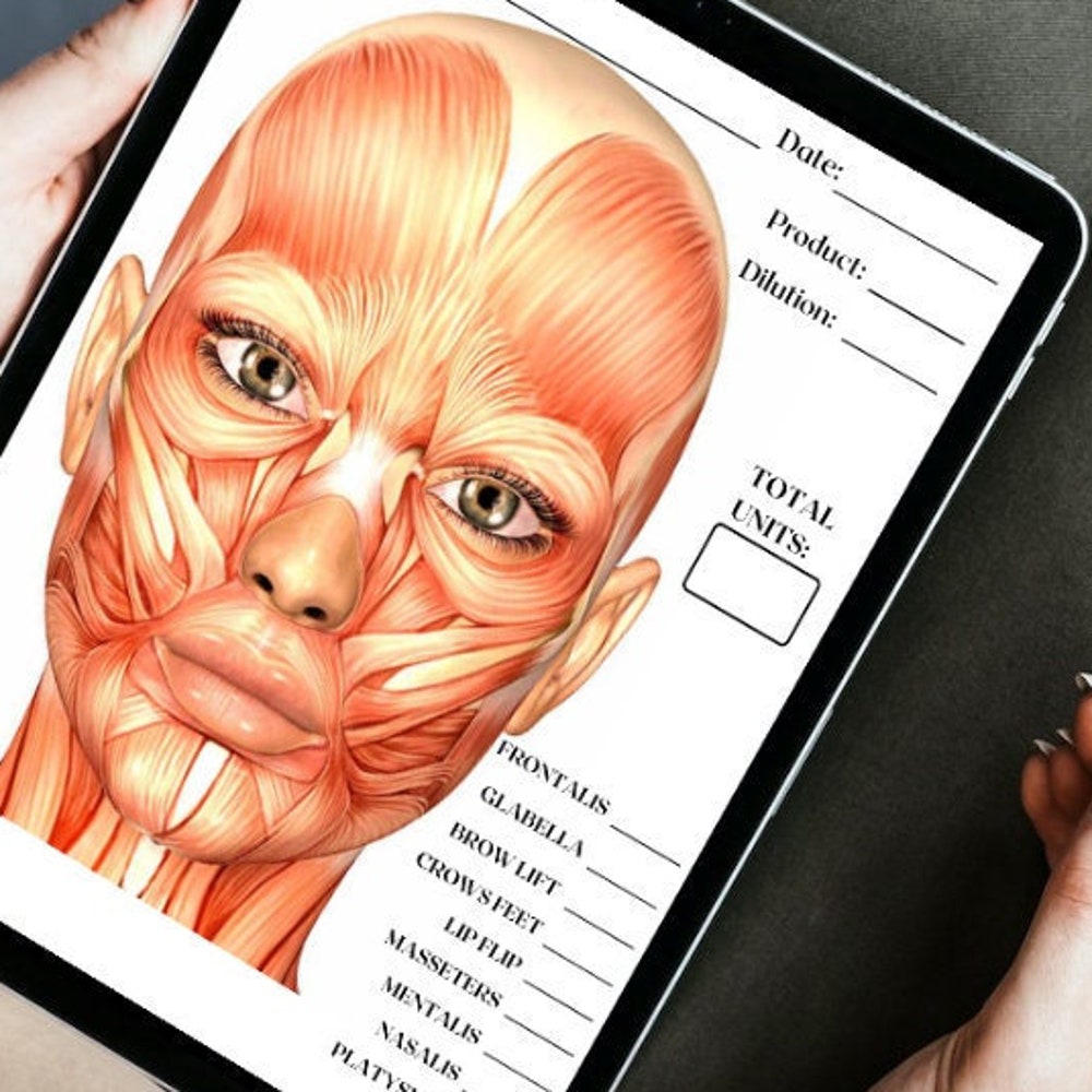 Charting Injector Face PearlsOfAesthetics - Etsy