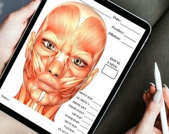 Neurotoxin Treatment Template, Aesthetic Injector Template, Facial Anatomy Template, Aesthetic Charting download, Aesthetics Medical Chart