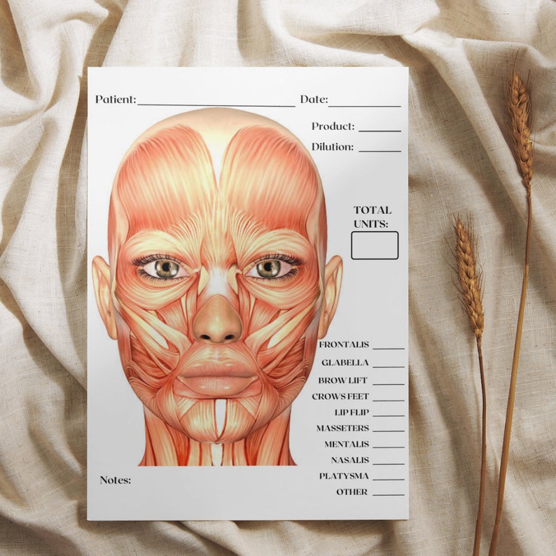 Charting Injector Face Neurotoxin Treatment Template, Aesthetic Injector Template, Facial ...