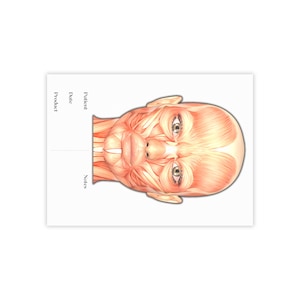 Neurotoxin Treatment Template Post-it® Notes Pad, Aesthetic Injector Facial Anatomy Template, Aesthetic Charting, Aesthetics Medical Chart