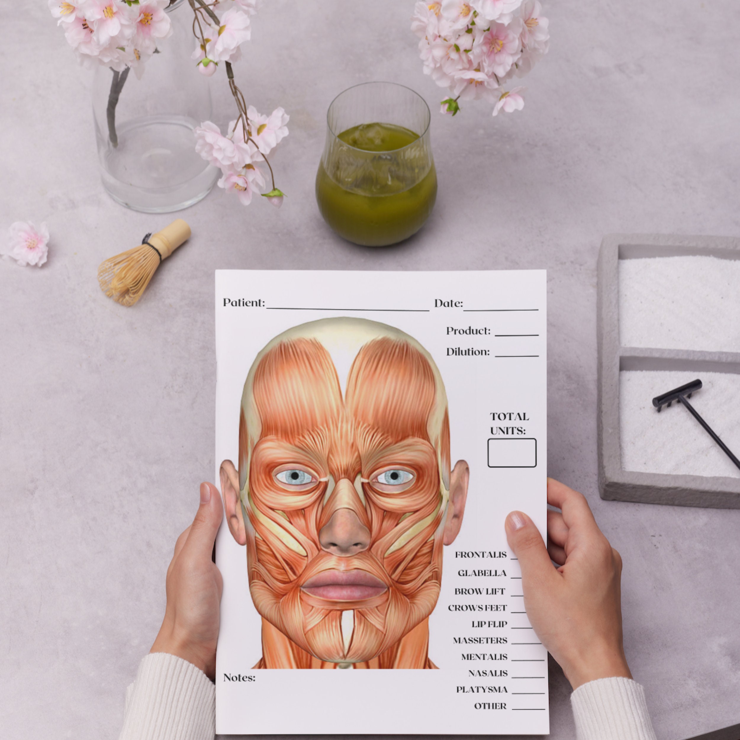 Charting Injector Face Male Neurotoxin Treatment, Aesthetic Injector Template, Facial Anatomy ...