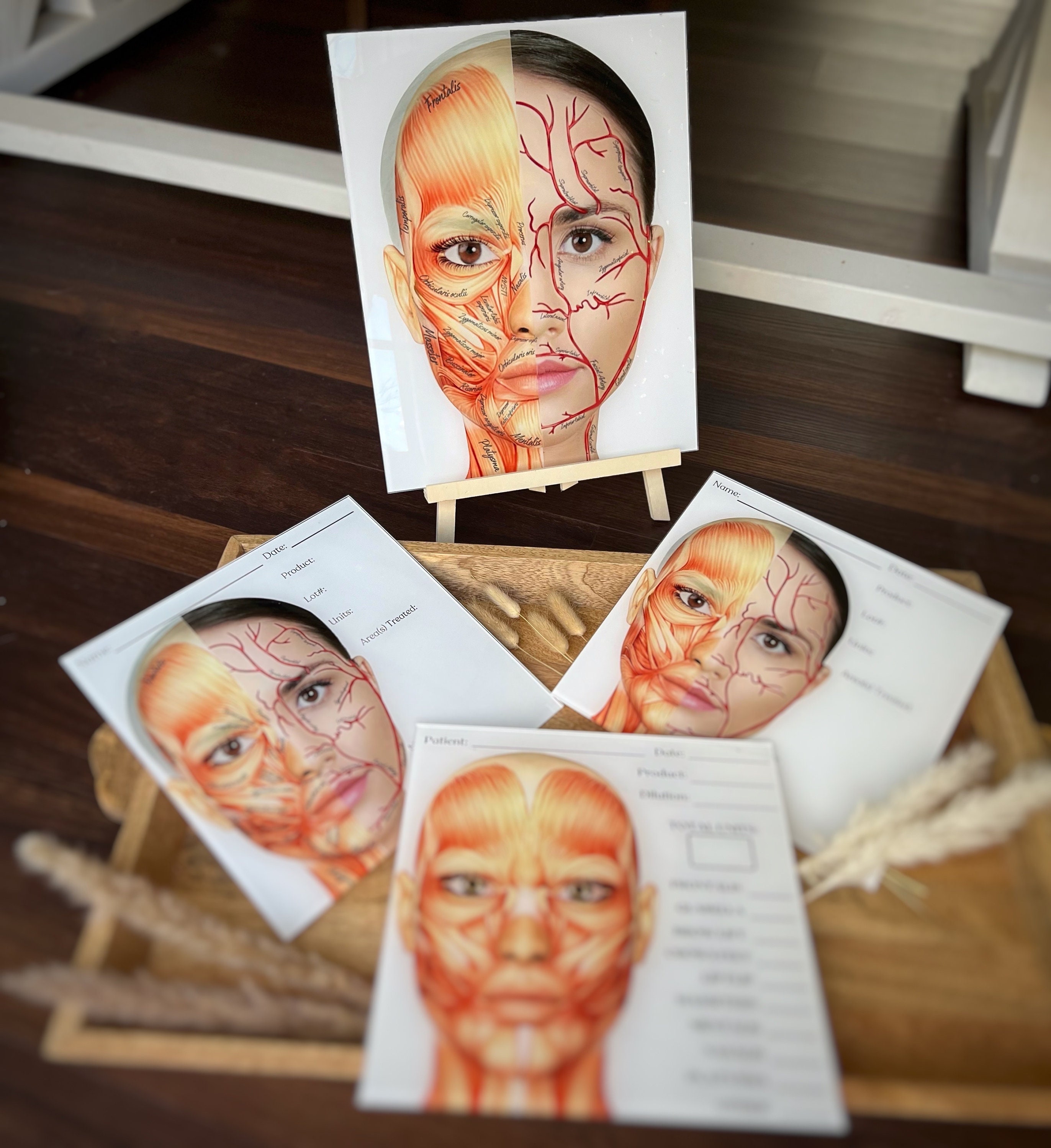 Charting Injector Face Aesthetic Injector Treatment Board, Aesthetic Training Tool, Dry Erase ...