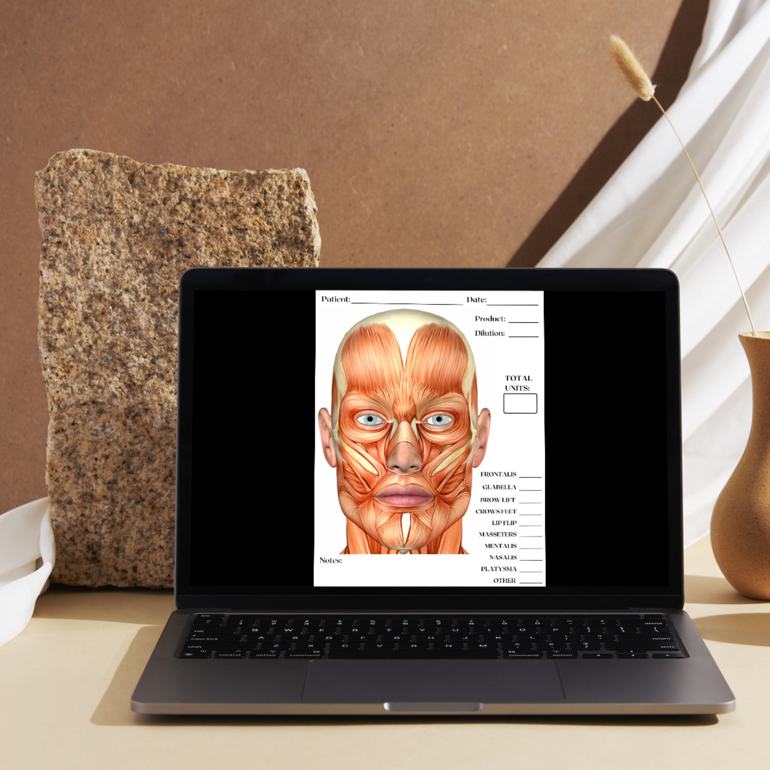 Charting Injector Face Male Neurotoxin Treatment, Aesthetic Injector Template, Facial Anatomy ...