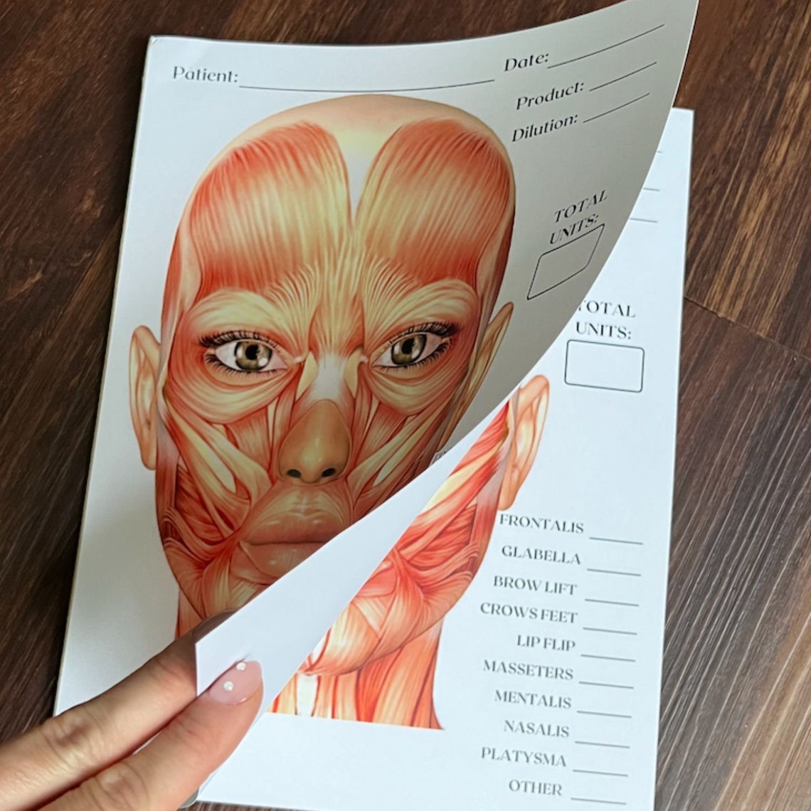 Charting Injector Face Aesthetic Injector Treatment Template Notepad Easy Tear-away Notebook ...