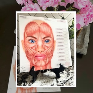 May include: A detailed anatomical chart of a human face, showcasing facial muscles and labeled areas. The chart features a realistic illustration with blue eyes and pink lips. The text includes "PATIENT", "DATE", and "TOTAL UNITS". The chart is displayed on a black stand.