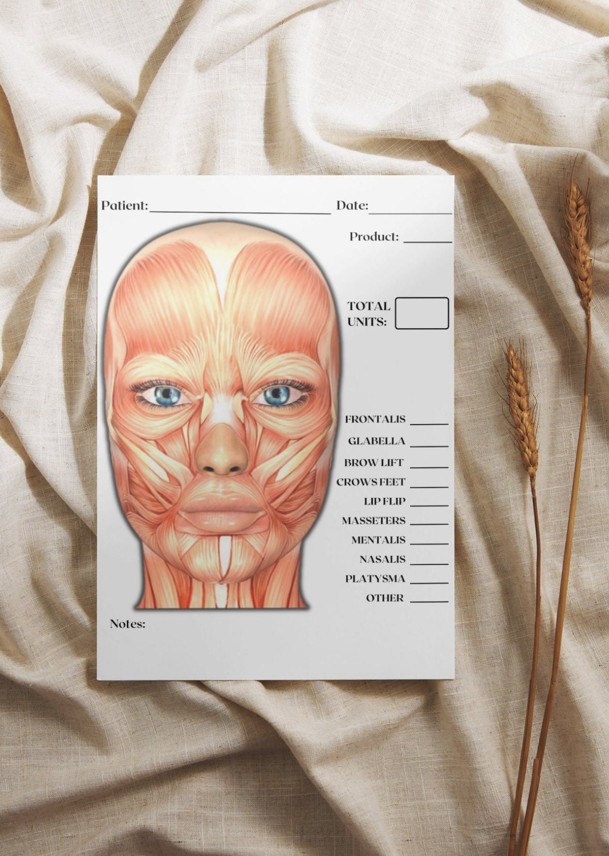 Charting Injector Face Neurotoxin Treatment Template Post-it® Notes Pad, Aesthetic Injector ...