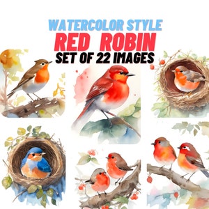 Red Robin Clipart, Charming Birds, Digital download, Commercial Use