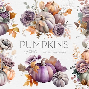 Watercolor Autumn Flower Pumpkins Bouquets, Clipart Set of 17 - PNG format, 300 DPI, for commercial use
