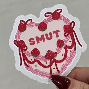 Smut Cake Vinyl Aufkleber - Trendy Book Lover Aufkleber - Niedliche Ästhetik für Leser, Laptops, Journals und Wasserflaschen
