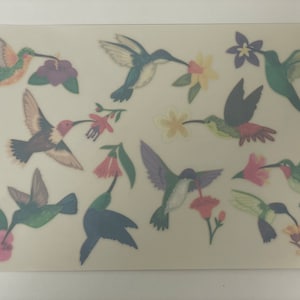 Hummingbirds and Flowers Window Clings