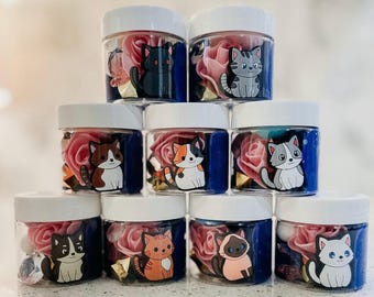Cat Party Favor Playdough Jar
