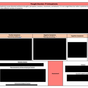 May include: A diagram outlining the core symptom clusters, etiology, and assessment of schizophrenia. The diagram includes information about positive, negative, cognitive, and affective symptoms. The text in the diagram states that schizophrenia causes distorted and bizarre thoughts, perceptions, emotions, movements, and behavior. It is not a single illness but rather a syndrome or a disease process with many different varieties of symptoms.