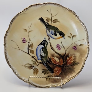 Vintage - Prachtig porseleinen bord met vogels - Handbeschilderd - Diameter 25 cm