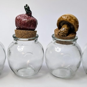 Può includere: Quattro barattoli di vetro con tappi di sughero e coperchi in ceramica di verdure e funghi. I barattoli sono in vetro trasparente e i coperchi sono dipinti in colori realistici. Le verdure includono una cipolla rossa, uno spicchio d'aglio giallo, un peperone rosso e un fungo marrone.