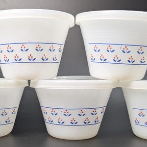 Op de afbeelding: Vijf witte plastic bakjes met deksels. Elke bak heeft een blauw en oranje bloemenpatroon in het midden. De bakjes zijn op elkaar gestapeld.