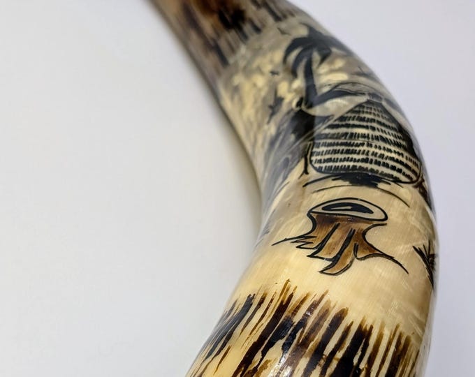 Vintage - Corne Boeuf Africain (OX) avec dessin artisanal signé - 19.5'' long