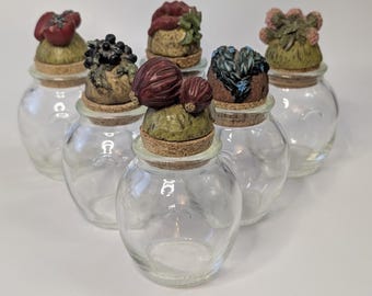 Vintage - Lot of 6 Small Jars with Cork  - 5''Tall with Stopper