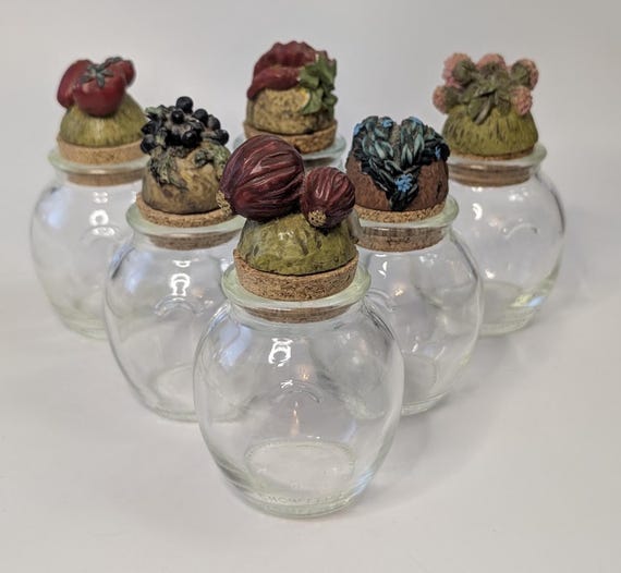Vintage - Lot of 6 Small Jars with Cork  - 5''Tall with Stopper