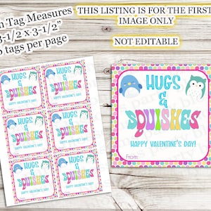 Puede incluir: Etiquetas de regalo de San Valentín con el texto "Hugs & Squishes" y "Happy Valentine's Day!" en letras coloridas. Cada etiqueta mide aproximadamente 8,9 x 8,9 cm y presenta un pingüino y un búho.