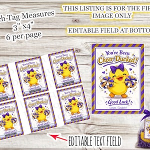 Può includere: Bigliettini regalo Cheer Ducked, 7,6 cm x 10,2 cm, con un'anatra dei cartoni animati con pompon. I bigliettini sono viola e oro, con la scritta "Good Luck!" e "Love, Coach!". Include un sacchetto di dolcetti.