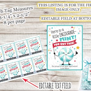 May include: A sheet of printable tags and a sample gift bag. The tags feature a cartoon mint character with the text "Here is a little ENCOURAGE-MINT! YOU GOT THIS!" and measure 3-1/4" x 2-1/2".