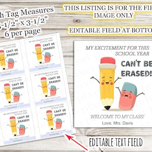May include: A set of square printable tags measuring 3.5 by 3.5 inches, featuring a cartoon pencil and eraser character with the text MY EXCITEMENT FOR THIS SCHOOL YEAR CAN'T BE ERASED! WELCOME TO MY CLASS! and an editable text field at the bottom.