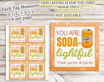 DOWNLOAD INSTANTÂNEO Você é Soda Lightful Incrível Obrigado por tudo que você faz Apreciação Tag PTO Professor Funcionário Equipe Professor Equipe Refrigerante