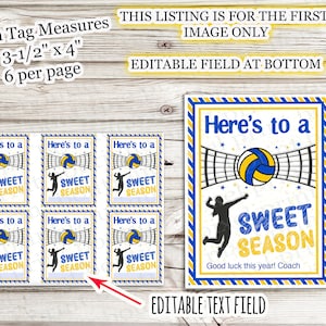 Op de afbeelding: Een printbaar vel met zes rechthoekige cadeaulabels met volleybalthema, elk 8,89 cm bij 10,16 cm groot. Het ontwerp bevat een blauwe en gele rand, een volleybalnet, een volleybal, een silhouet van een speler en de tekst Here's to a SWEET SEASON.
