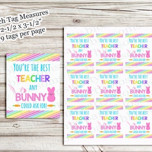 Any Bunny - Etsy Ireland