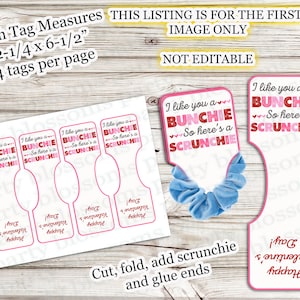 May include: Four printable gift tags with pink and red hearts and the text "I like you a BUNCHIE So here's a SCRUNCHIE". The tags are 2 1/4 inches by 6 1/2 inches and are designed to be cut, folded, and glued around a scrunchie.