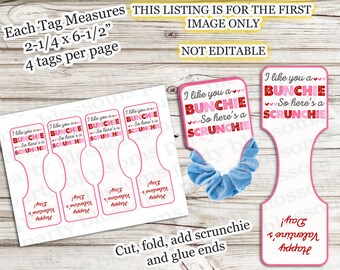 INSTANT DOWNLOAD Like You A Bunchie So Here's A Scrunchie Valentine Printable, Bun, school girl, ponytail classroom, Hair Tie Non-Candy Tag